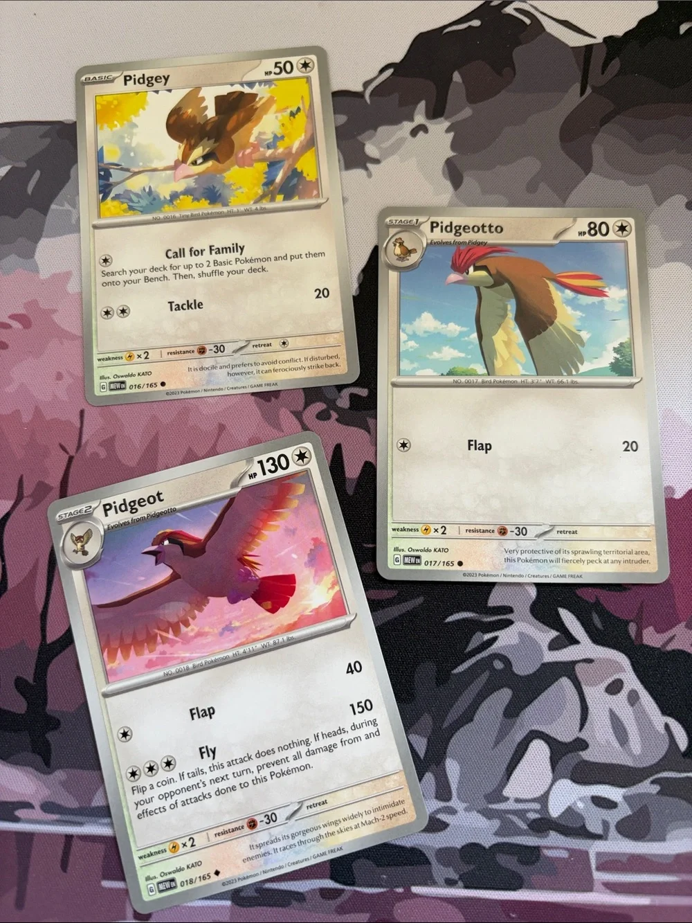 Pidgey, Pidgeotto & Pidgeot Evolution Lot | Pokémon 151 | ✨5/$25✨